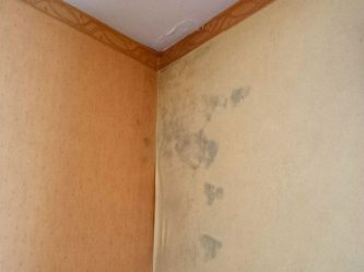 Schimmel in den Wänden Hotel Prati neapel3