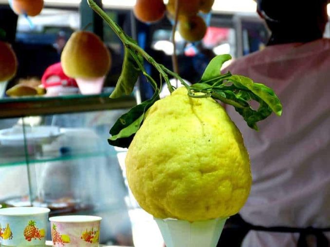 Limoncello Zitronenlikör aus Italien