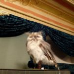 MoritzburgAusstellungAschenbrödelBild