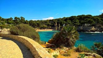 Urlaub in Cala Ratjada Mallorca17 1