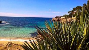 Urlaub in Cala Ratjada Mallorca