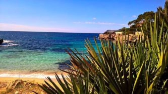 Urlaub in Cala Ratjada Mallorca25 1