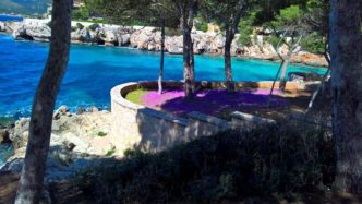 Urlaub in Cala Ratjada Mallorca8 1
