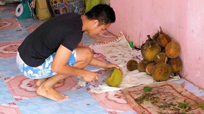 Durian Frucht Händler