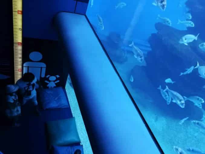 Aquarium Palma de Mallorca
