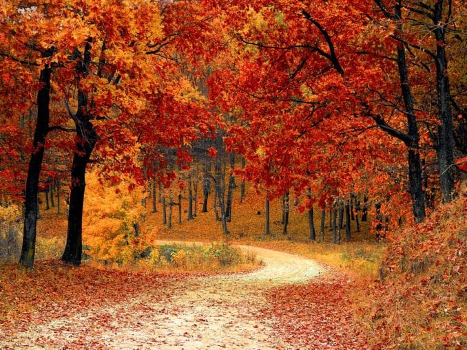 Freizeitideen für den Herbst Freizeitideen für den Herbst