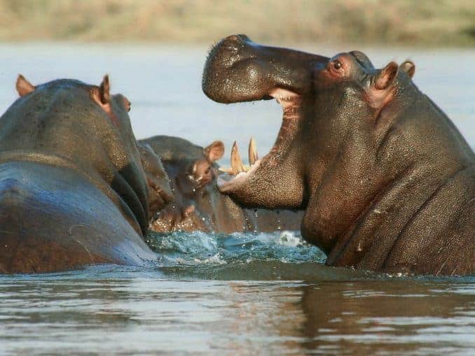 Namibia erleben