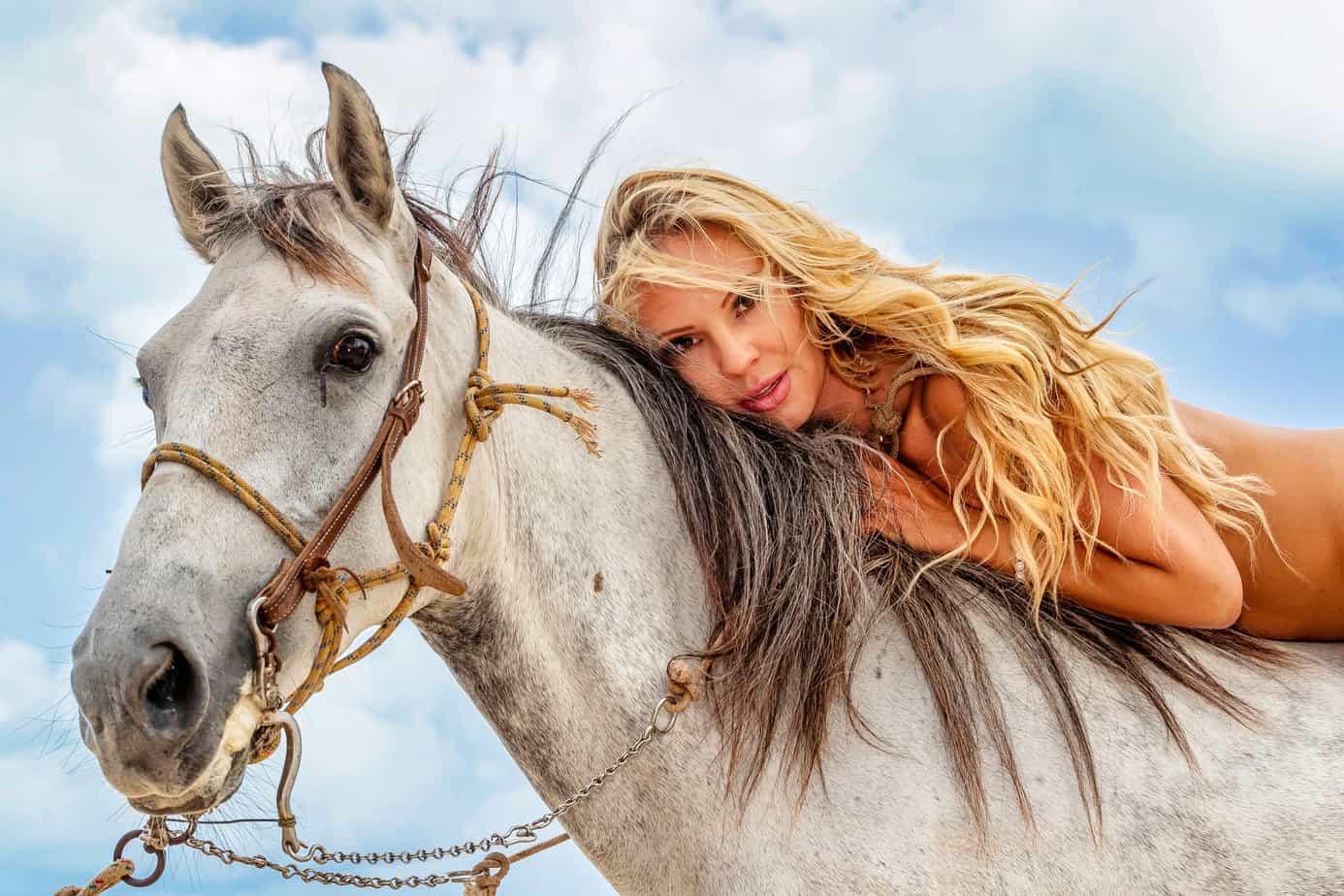 Nackt Reiten Mit Pferden ☀️ Heute Erlebtde