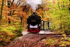 Rasender Roland auf Rügen rasender roland ruegen