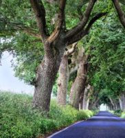ruegen allee
