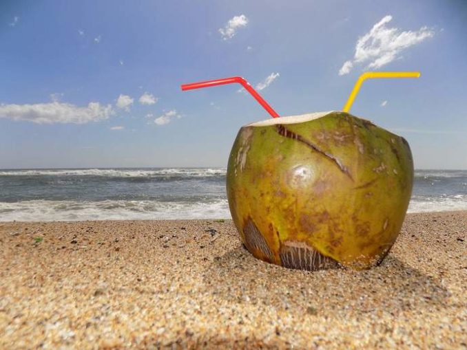 Kokoswasser am Strand