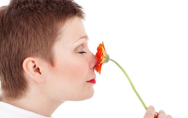 Nase riecht an der Blume