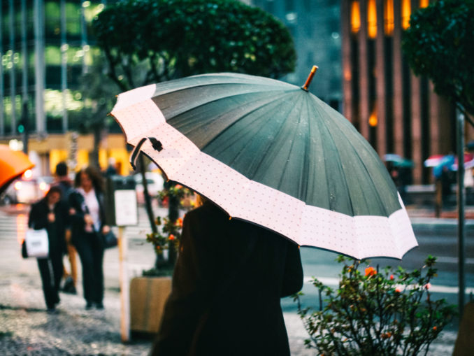 Regenschirm
