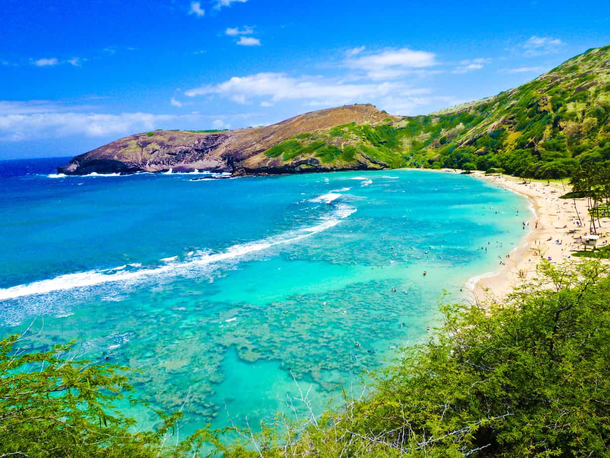 Schnorchelbucht Oahu Reiseziel Hawaii