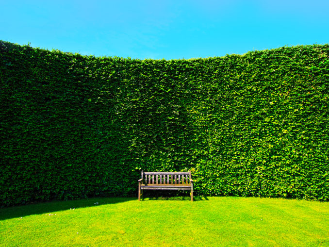 Hecke mit Bank