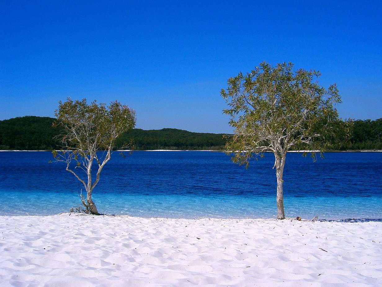 Lake McKenzie Beach, Fraser Island