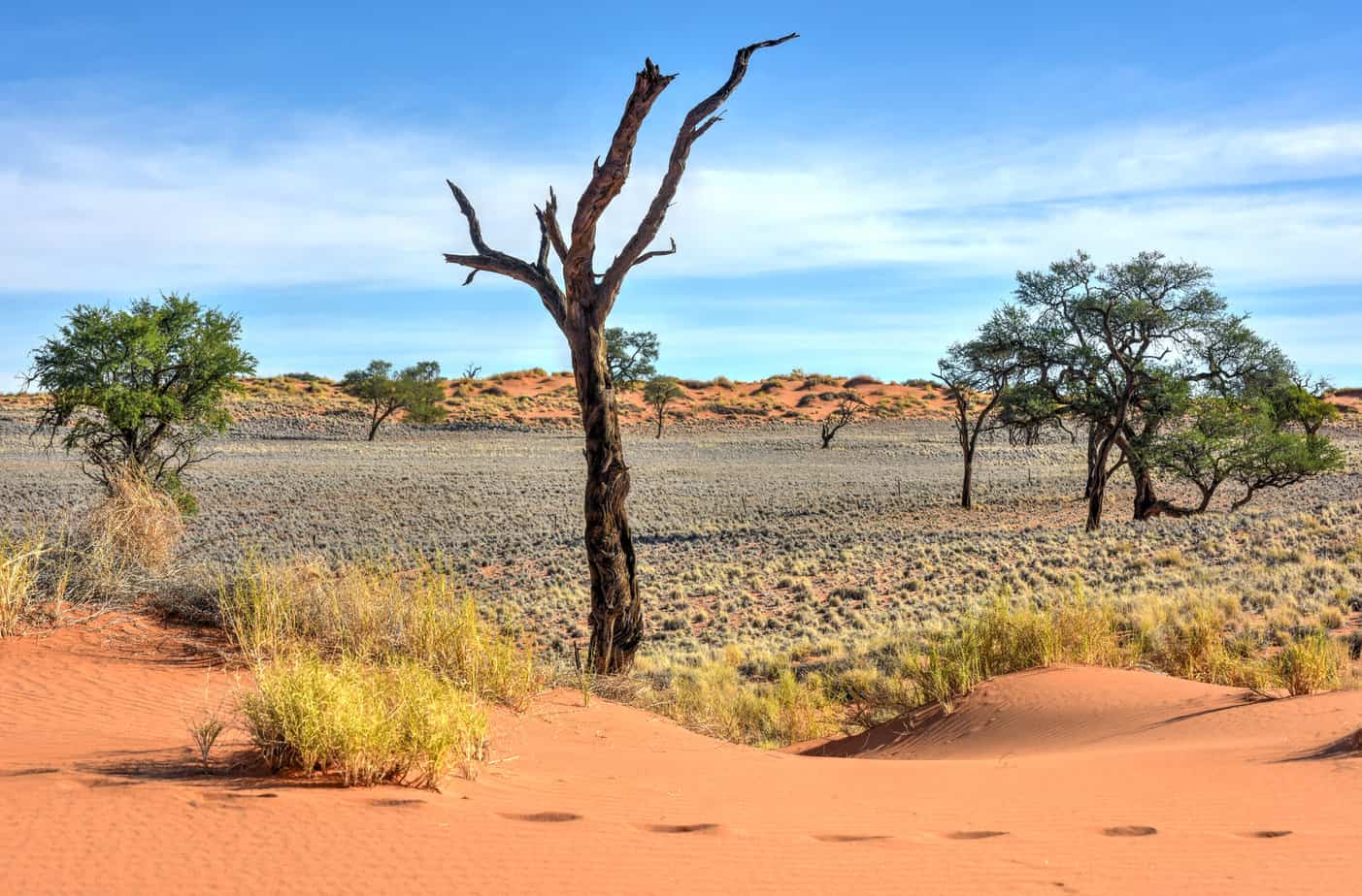 NamibRand Naturreservat