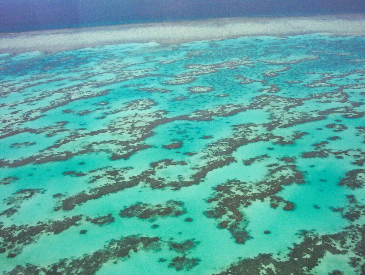 Aufnahme des Meeresbodens im Great Barrier Reef aus einem Helikopter
