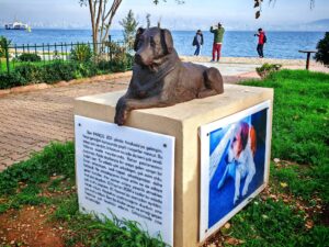 Ben Panco Istanbul 2011