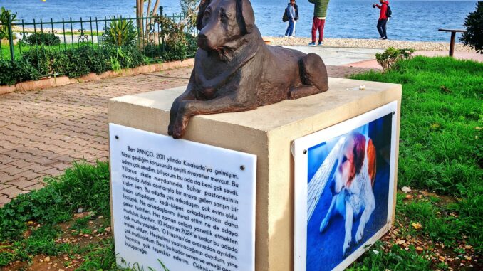 Ben Panco Istanbul 2011